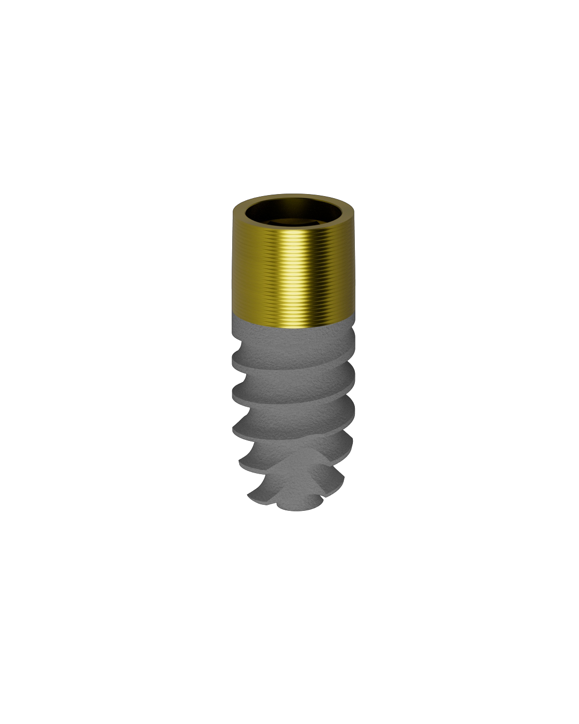 Prama Power Regular Neck10:44