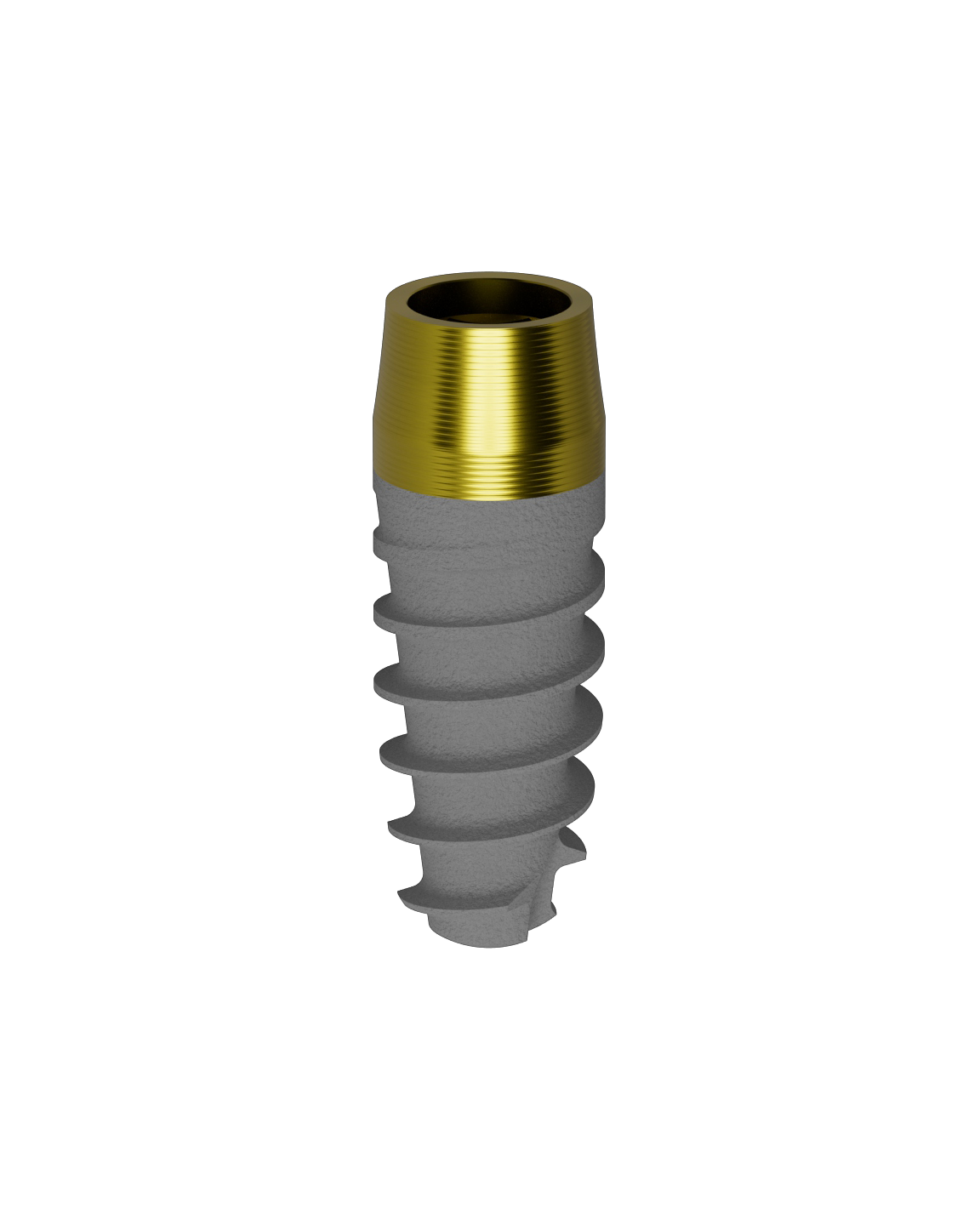 Prama RF Power Regular Neck11:67