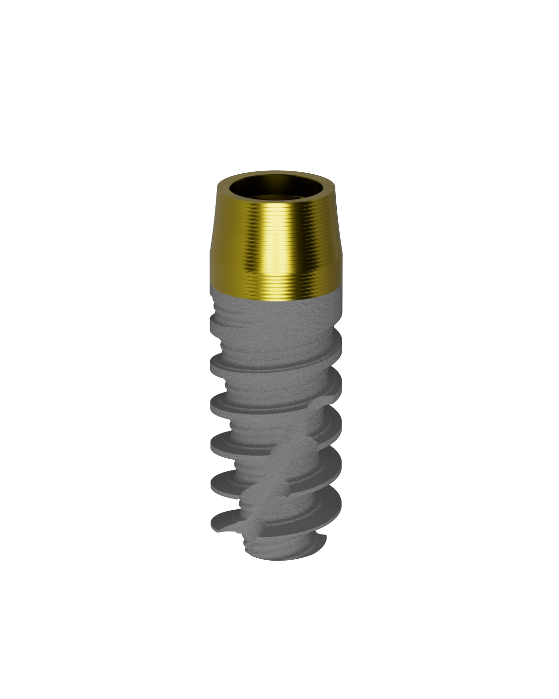 Prama RF SL Power12:83